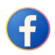 facebook logo festival